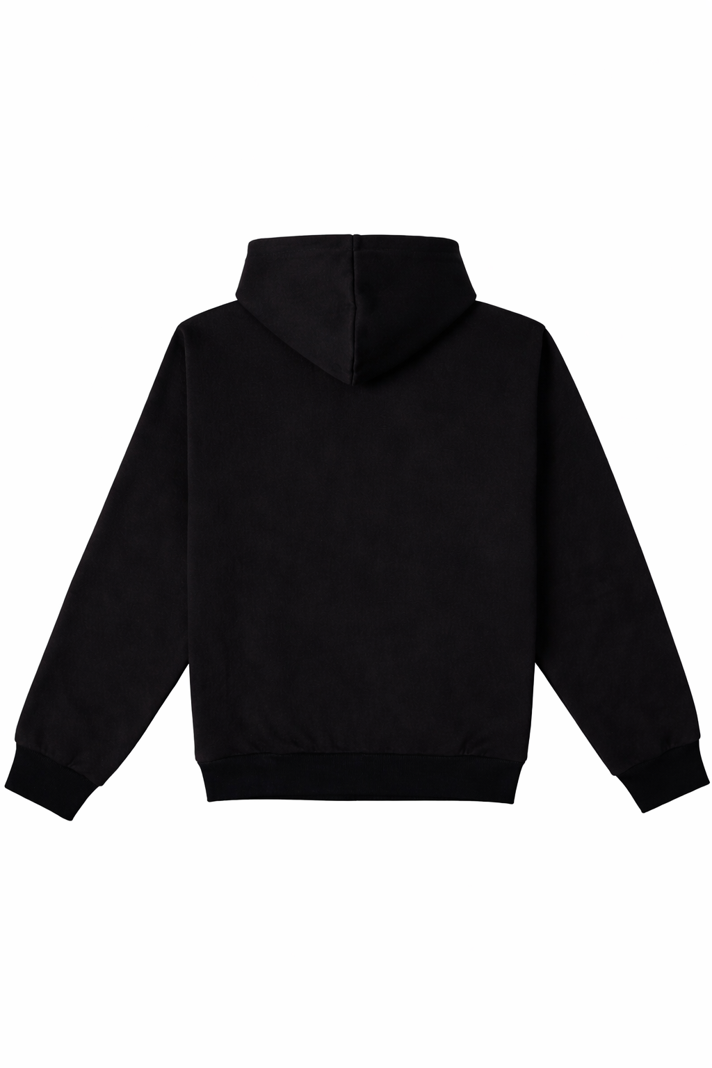 DISREGARDED HOODIE