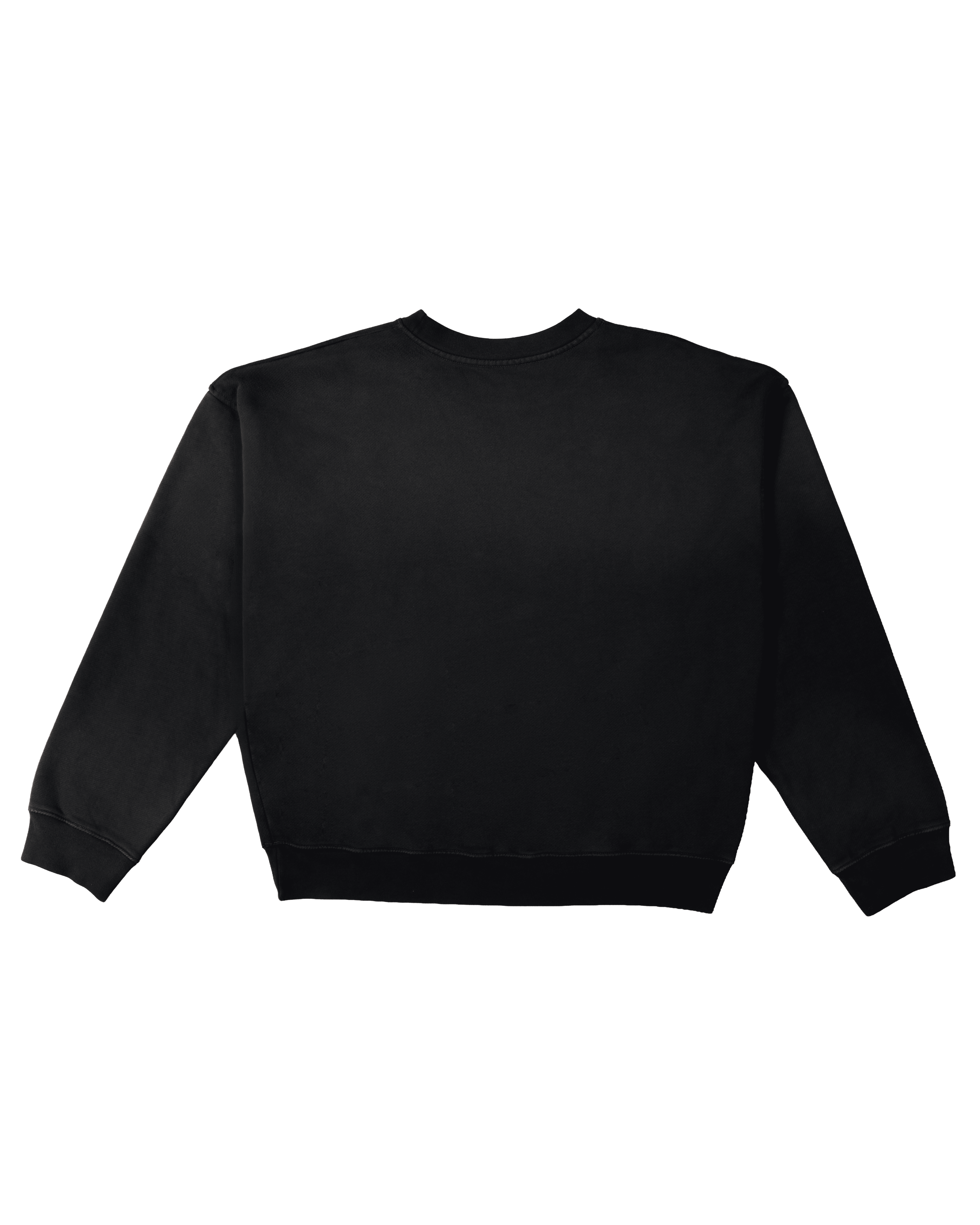INVISIBLE LOGO CREWNECK
